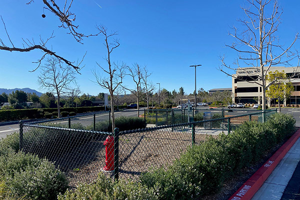 Westlake Landmark Photo Gallery